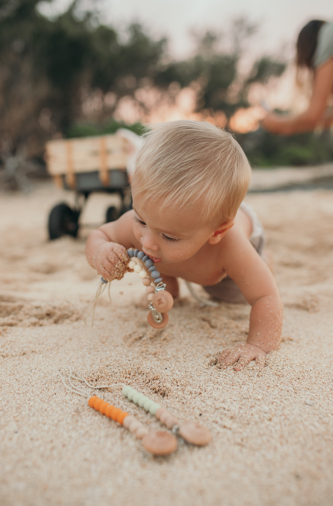 Pacifier Clip | Clementine